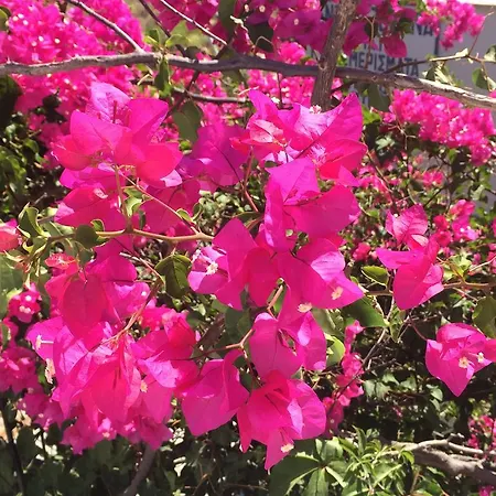 公寓 马拉公寓式酒店 Marathion