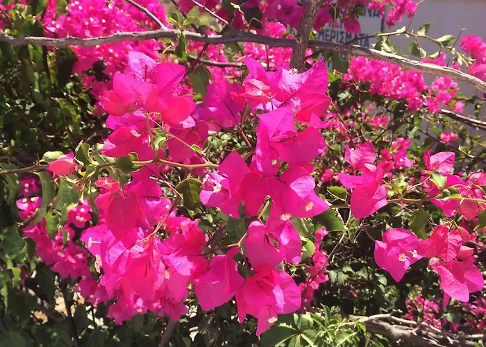 公寓 马拉公寓式酒店 Marathion